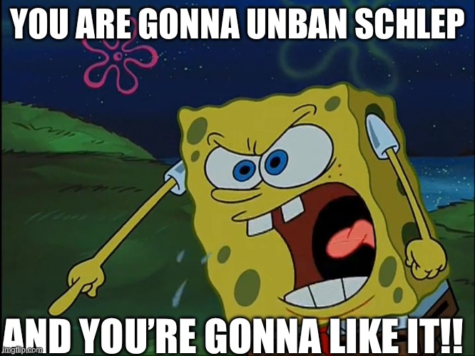 YOU ARE GONNA LIKE IT! | YOU ARE GONNA UNBAN SCHLEP; AND YOU’RE GONNA LIKE IT!! | image tagged in you are gonna like it,schlep,freeschlep,roblox,roblox meme | made w/ Imgflip meme maker