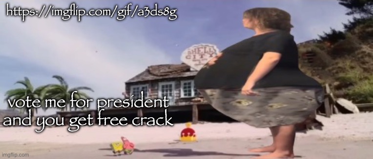 wide load | https://imgflip.com/gif/a3ds8g; vote me for president and you get free crack | image tagged in wide load | made w/ Imgflip meme maker