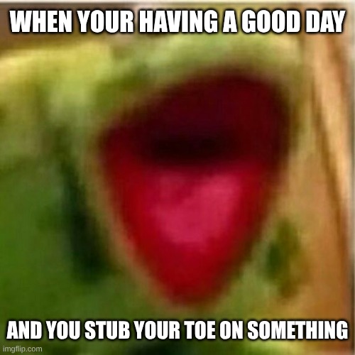 AHHHHHHHHHHHHH | WHEN YOUR HAVING A GOOD DAY; AND YOU STUB YOUR TOE ON SOMETHING | image tagged in ahhhhhhhhhhhhh | made w/ Imgflip meme maker