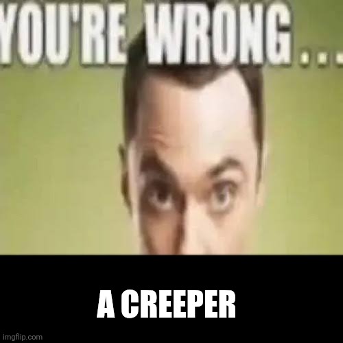 You’re wrong… sulfuric acid! | A CREEPER | image tagged in you re wrong sulfuric acid | made w/ Imgflip meme maker