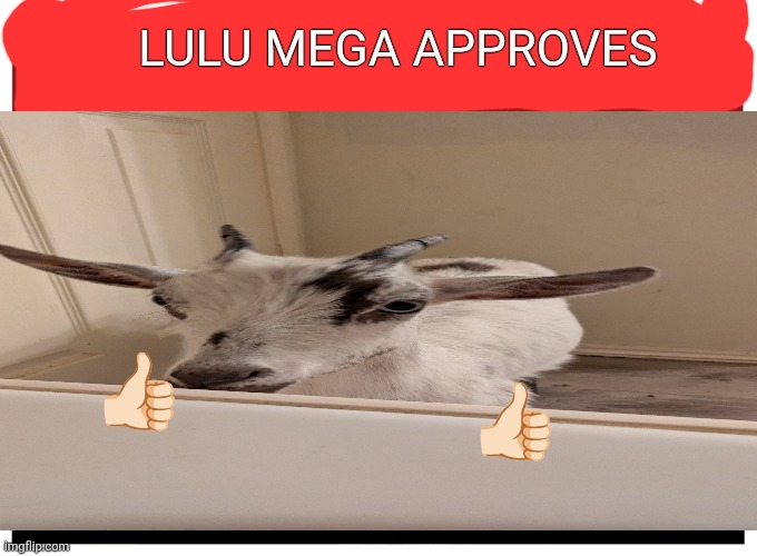 Live reaction | LULU MEGA APPROVES; 👍🏻; 👍🏻 | image tagged in live reaction | made w/ Imgflip meme maker
