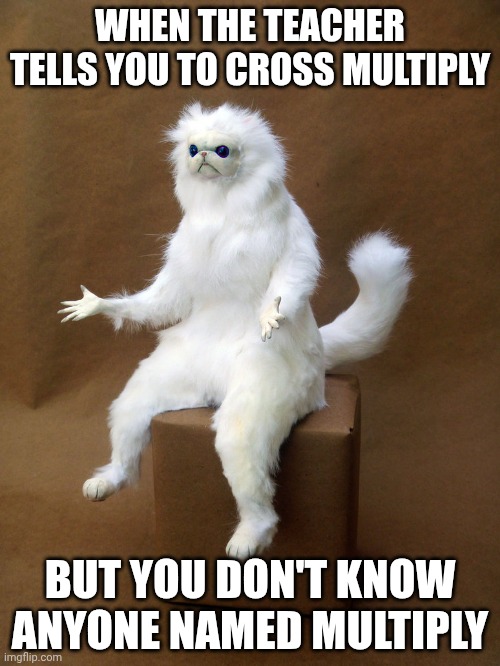 Don't know anyone named Multiply | WHEN THE TEACHER TELLS YOU TO CROSS MULTIPLY; BUT YOU DON'T KNOW ANYONE NAMED MULTIPLY | image tagged in why just why | made w/ Imgflip meme maker