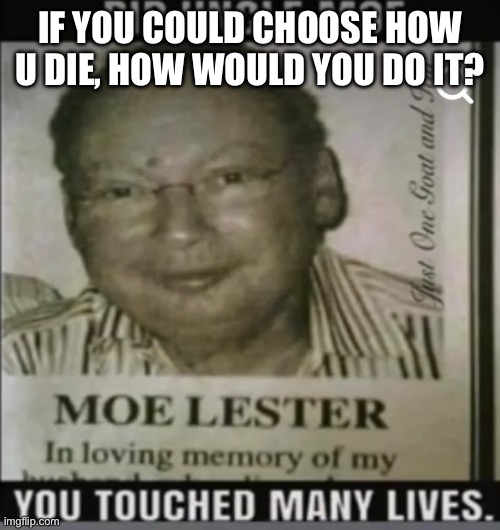 moe lester | IF YOU COULD CHOOSE HOW U DIE, HOW WOULD YOU DO IT? | image tagged in moe lester | made w/ Imgflip meme maker