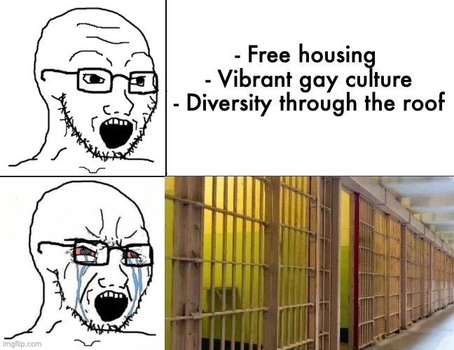 Soyboy reaction mad cry | - Free housing 
- Vibrant gay culture
- Diversity through the roof | image tagged in soyboy reaction mad cry | made w/ Imgflip meme maker