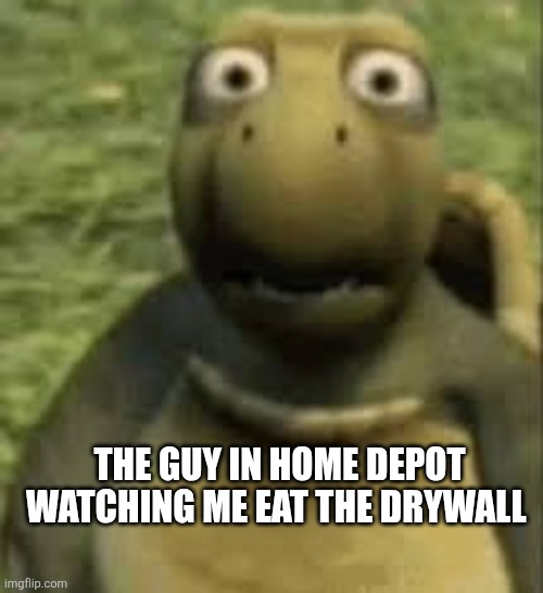 Concerned turtle | THE GUY IN HOME DEPOT WATCHING ME EAT THE DRYWALL | image tagged in concerned turtle | made w/ Imgflip meme maker