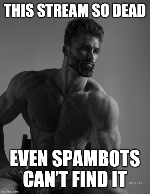 Giga Chad | THIS STREAM SO DEAD; EVEN SPAMBOTS CAN’T FIND IT | image tagged in giga chad | made w/ Imgflip meme maker