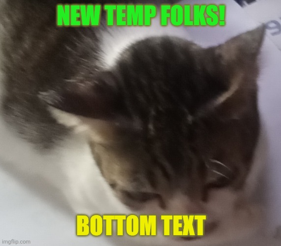Ming mong | NEW TEMP FOLKS! BOTTOM TEXT | image tagged in ming mong | made w/ Imgflip meme maker