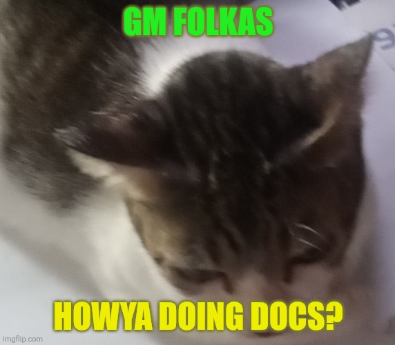 Ming mong | GM FOLKAS; HOWYA DOING DOCS? | image tagged in ming mong | made w/ Imgflip meme maker