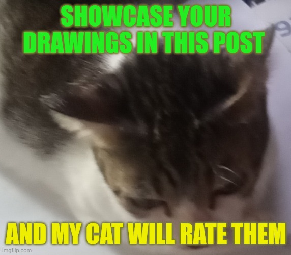 Everyming to the mong | SHOWCASE YOUR DRAWINGS IN THIS POST; AND MY CAT WILL RATE THEM | image tagged in ming mong | made w/ Imgflip meme maker