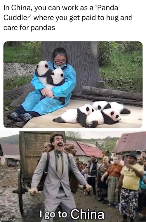 Cute job | China | image tagged in i go to america,panda,cuddle,hug,pandas | made w/ Imgflip meme maker