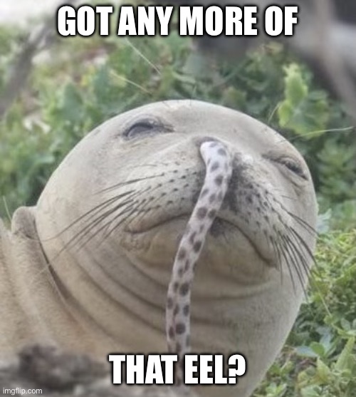Eel | GOT ANY MORE OF; THAT EEL? | image tagged in monk seal with eel in nose | made w/ Imgflip meme maker