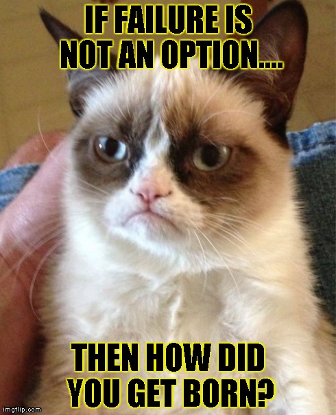 Grumpy Cat | IF FAILURE IS NOT AN OPTION.... THEN HOW DID YOU GET BORN? | image tagged in memes,grumpy cat | made w/ Imgflip meme maker