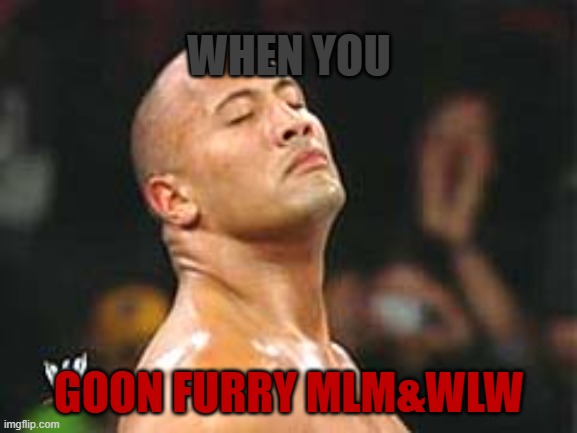 by the way, i'm at 5th bachelor semester now | WHEN YOU; GOON FURRY MLM&WLW | image tagged in the rock smelling | made w/ Imgflip meme maker