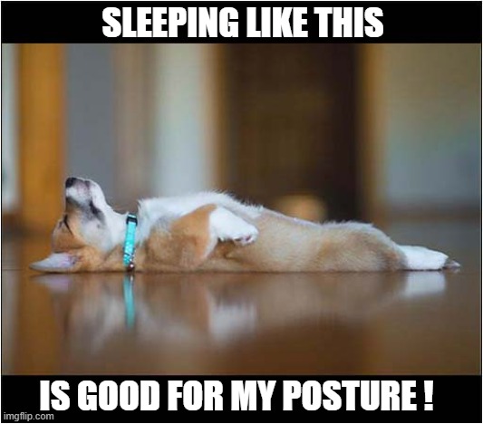 A Health And Wellbeing Corgi | SLEEPING LIKE THIS; IS GOOD FOR MY POSTURE ! | image tagged in dogs,corgi,health,wellbeing,posture | made w/ Imgflip meme maker
