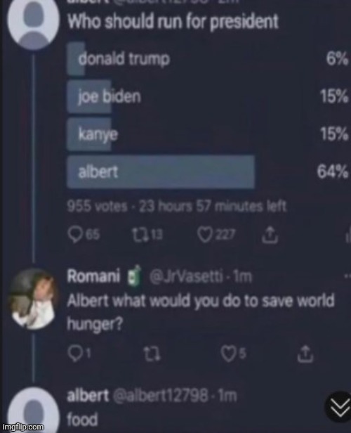 Check comments for official election | image tagged in who should run for president | made w/ Imgflip meme maker