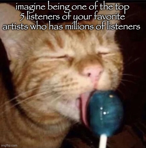 silly goober 2 | imagine being one of the top 5 listeners of your favorite artists who has millions of listeners | image tagged in silly goober 2 | made w/ Imgflip meme maker