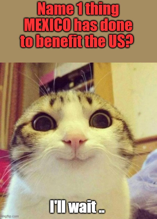 Must be hundreds | Name 1 thing MEXICO has done to benefit the US? I'll wait .. | image tagged in memes,smiling cat | made w/ Imgflip meme maker