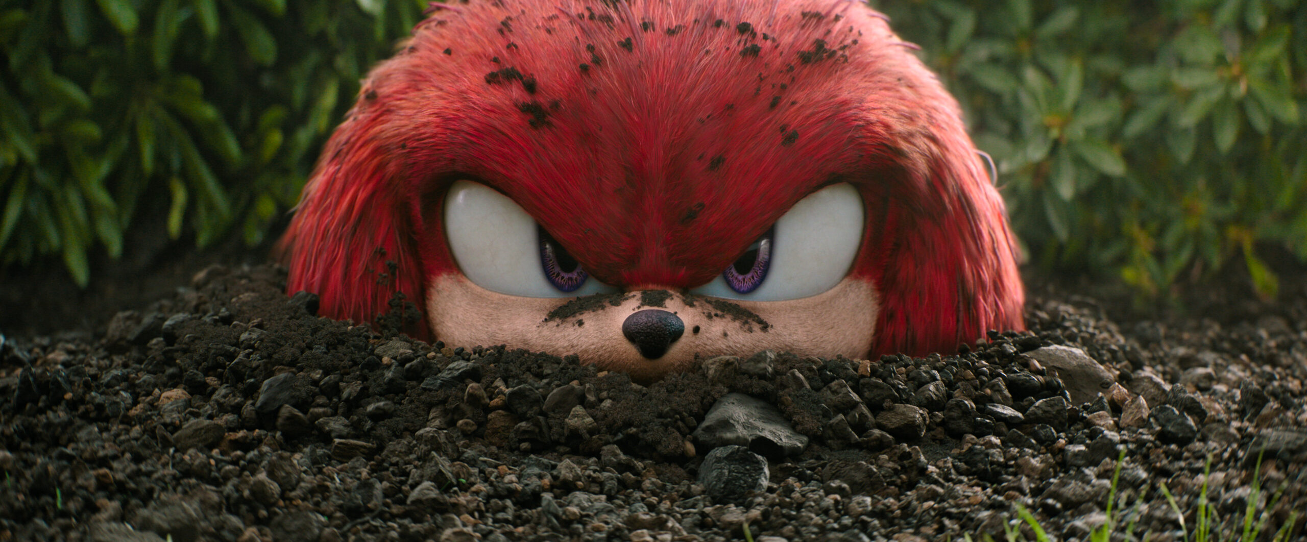 High Quality Knuckles peaking outta the ground Blank Meme Template
