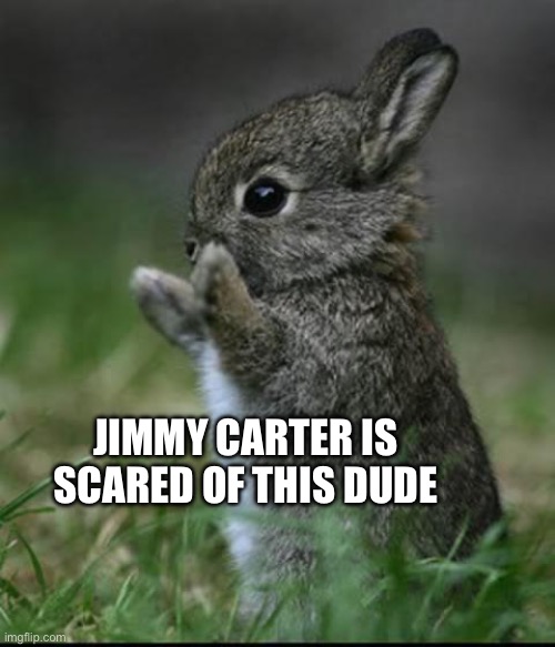 Jimmy Carter scared of rabbit (look it up) | JIMMY CARTER IS SCARED OF THIS DUDE | image tagged in cute bunny,jimmy carter | made w/ Imgflip meme maker