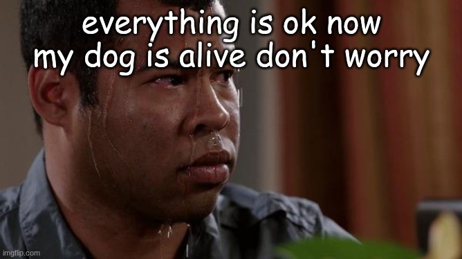 sweating bullets | everything is ok now my dog is alive don't worry | image tagged in sweating bullets | made w/ Imgflip meme maker