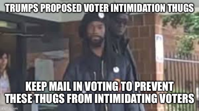 Trumps voter plan | image tagged in thugs,donald trump approves,email scandal,barack obama | made w/ Imgflip meme maker
