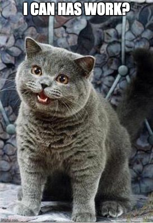 I can has work? | I CAN HAS WORK? | image tagged in i can has cheezburger cat | made w/ Imgflip meme maker