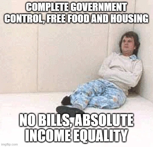 Padded cell room 1 | COMPLETE GOVERNMENT CONTROL, FREE FOOD AND HOUSING NO BILLS, ABSOLUTE INCOME EQUALITY | image tagged in padded cell room 1 | made w/ Imgflip meme maker
