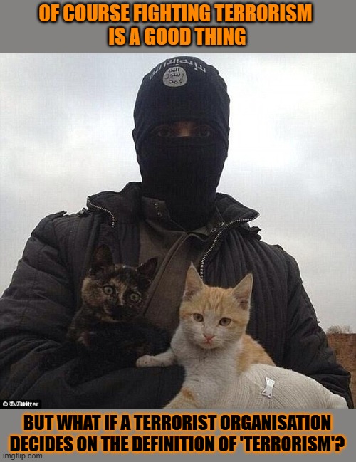 This #lolcat wonders who decides what 'terrorism' is | OF COURSE FIGHTING TERRORISM 
IS A GOOD THING; BUT WHAT IF A TERRORIST ORGANISATION
DECIDES ON THE DEFINITION OF 'TERRORISM'? | image tagged in terrorism,terrorist,lolcat,law | made w/ Imgflip meme maker