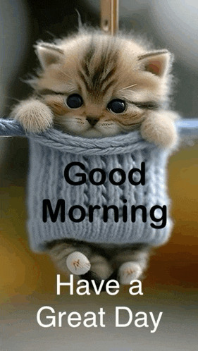 Good Morning Mom! Blank Meme Template
