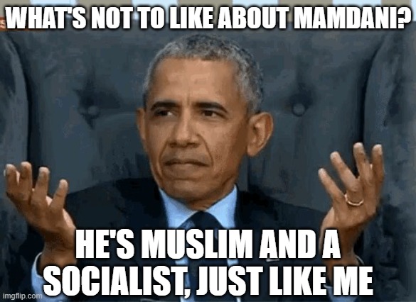 Barack Obama shrug | WHAT'S NOT TO LIKE ABOUT MAMDANI? HE'S MUSLIM AND A SOCIALIST, JUST LIKE ME | image tagged in barack obama shrug | made w/ Imgflip meme maker