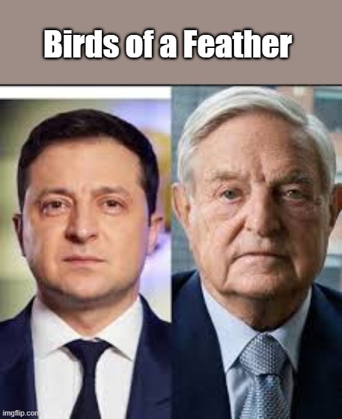 Zelinsky and Soros | Birds of a Feather | image tagged in zelinsky and soros | made w/ Imgflip meme maker