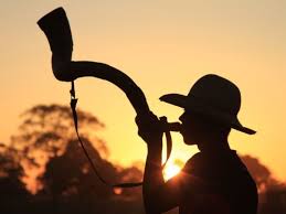 berrante Blank Meme Template