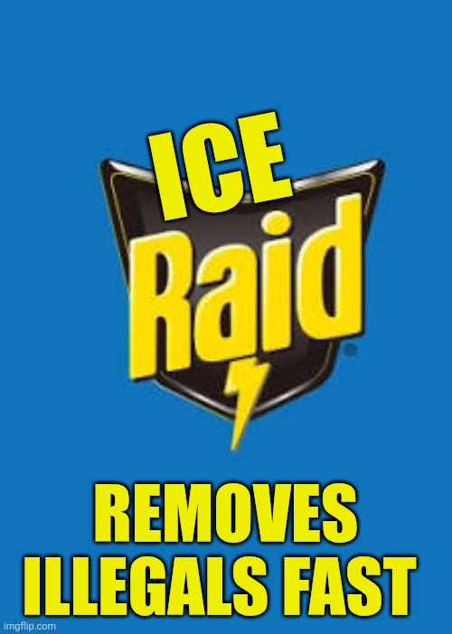 illegal immigrants | ICE; REMOVES ILLEGALS FAST | image tagged in illegal immigrants | made w/ Imgflip meme maker