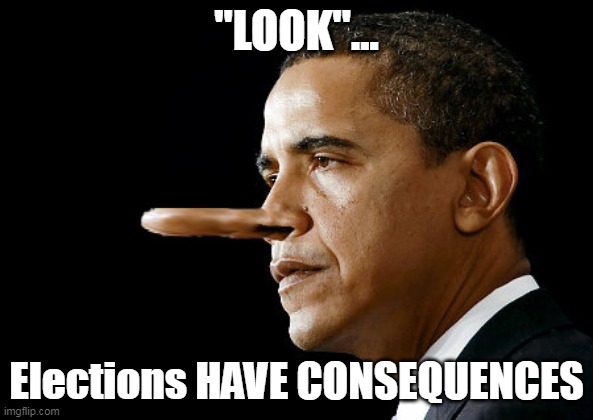 "LOOK"... Elections HAVE CONSEQUENCES | made w/ Imgflip meme maker