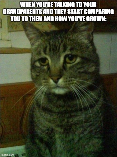 it hits harder the more you age | WHEN YOU'RE TALKING TO YOUR GRANDPARENTS AND THEY START COMPARING YOU TO THEM AND HOW YOU'VE GROWN: | image tagged in memes,depressed cat,grandparents,depression | made w/ Imgflip meme maker