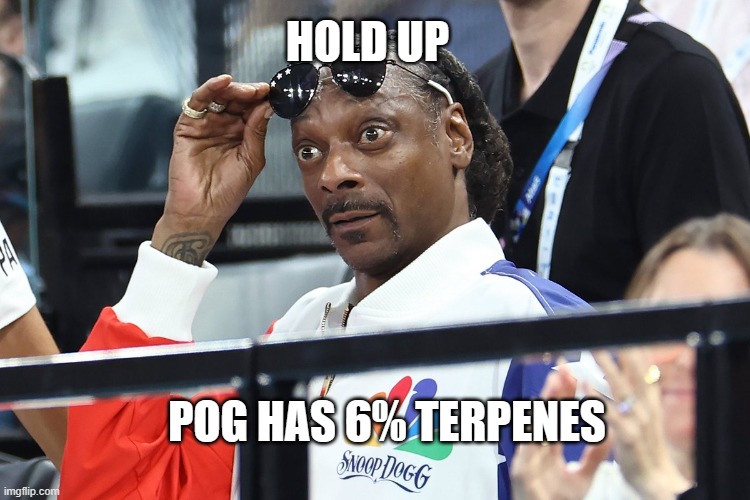 Snoop Doggy POG | HOLD UP; POG HAS 6% TERPENES | image tagged in snoop dog olympics surprised,snoop dogg approves,pog,snoop dogg,planet of the apes,too damn high | made w/ Imgflip meme maker