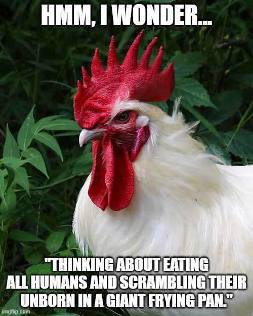Chicken Thoughts | HMM, I WONDER... "THINKING ABOUT EATING ALL HUMANS AND SCRAMBLING THEIR UNBORN IN A GIANT FRYING PAN." | image tagged in chicken thoughts | made w/ Imgflip meme maker