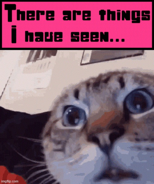 It's not easy being a cat | image tagged in vince vance,cats,funny cat memes,meow,i love cats,stranger things | made w/ Imgflip meme maker
