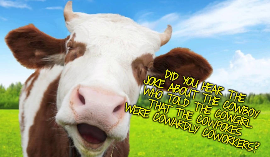 Laughing cow | DID YOU HEAR THE JOKE ABOUT THE COWBOY WHO TOLD THE COWGIRL THAT THE COWPOKES WERE COWARDLY COWORKERS? | image tagged in laughing cow | made w/ Imgflip meme maker