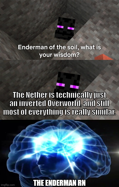 This is actually true. | The Nether is technically just an inverted Overworld, and still most of everything is really similar. THE ENDERMAN RN | image tagged in enderman of the soil,lore,minecraft memes | made w/ Imgflip meme maker