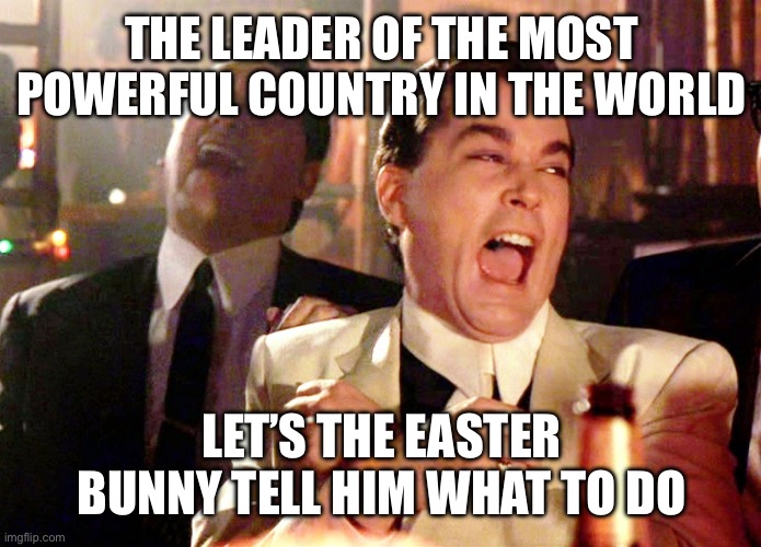 Good Fellas Hilarious Meme | THE LEADER OF THE MOST POWERFUL COUNTRY IN THE WORLD LET’S THE EASTER BUNNY TELL HIM WHAT TO DO | image tagged in memes,good fellas hilarious | made w/ Imgflip meme maker