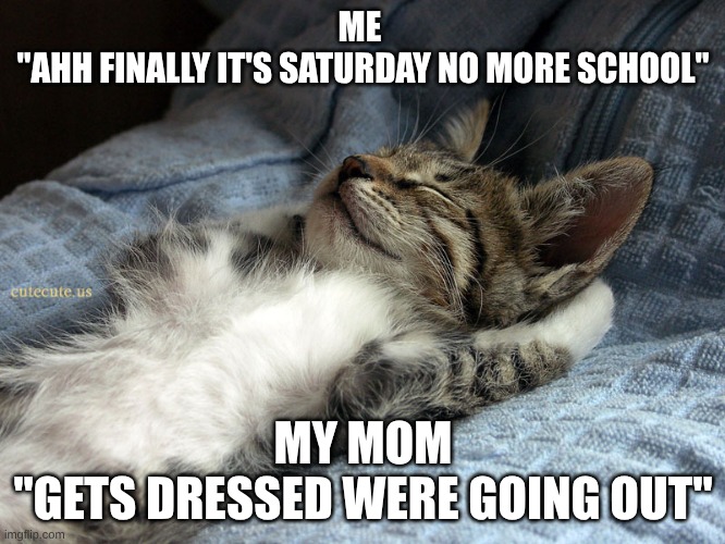 sleeping cat | ME 
"AHH FINALLY IT'S SATURDAY NO MORE SCHOOL"; MY MOM
"GETS DRESSED WERE GOING OUT" | image tagged in sleeping cat | made w/ Imgflip meme maker