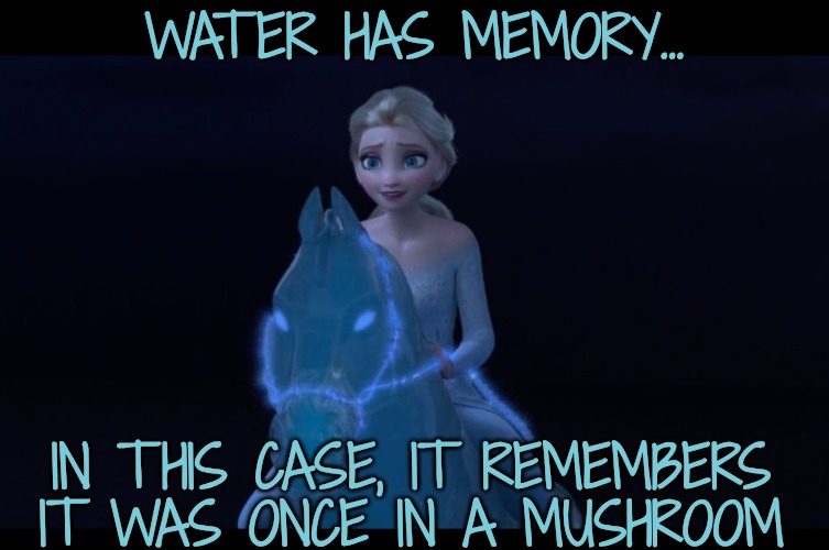 WATER HAS MEMORY... IN THIS CASE, IT REMEMBERS IT WAS ONCE IN A MUSHROOM | made w/ Imgflip meme maker