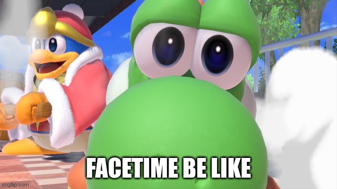 Facetime SSBU | FACETIME BE LIKE | image tagged in yoshi facing camera,super smash bros,yoshi | made w/ Imgflip meme maker