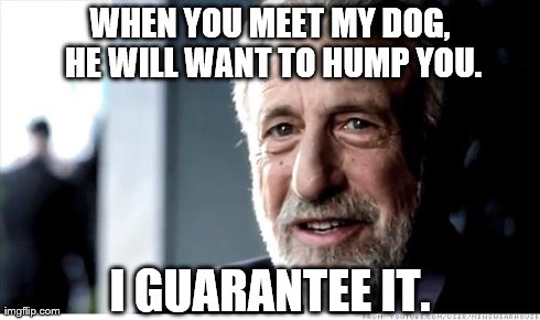 I Guarantee It Meme | WHEN YOU MEET MY DOG, HE WILL WANT TO HUMP YOU. I GUARANTEE IT. | image tagged in memes,i guarantee it | made w/ Imgflip meme maker
