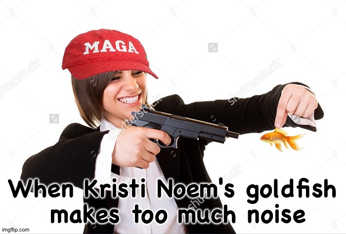 Overreaction, ya think? | When Kristi Noem's goldfish
 makes too much noise | image tagged in shooting | made w/ Imgflip meme maker