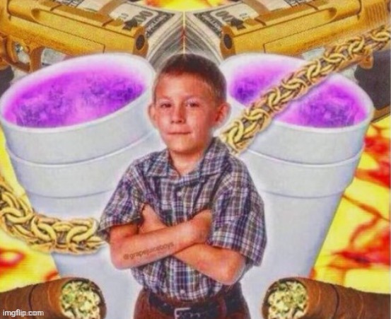Friendly reminder Osama had this on his hard drive | image tagged in friendly reminder | made w/ Imgflip meme maker