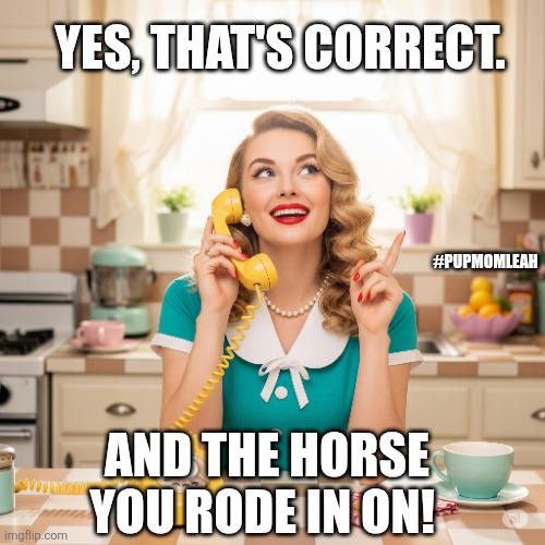 And the horse you rode in on! | YES, THAT'S CORRECT. #PUPMOMLEAH; AND THE HORSE YOU RODE IN ON! | image tagged in horse,funny,funny memes | made w/ Imgflip meme maker
