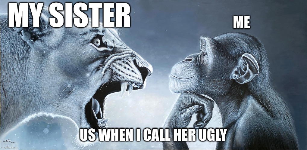 Lion Roars at monkey | MY SISTER; ME; US WHEN I CALL HER UGLY | image tagged in lion roars at monkey | made w/ Imgflip meme maker