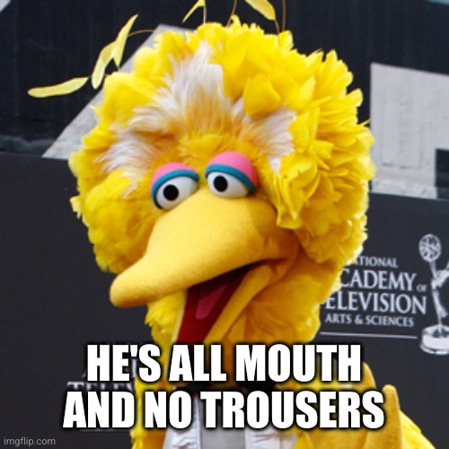 Big Bird Meme | HE'S ALL MOUTH AND NO TROUSERS | image tagged in memes,big bird | made w/ Imgflip meme maker